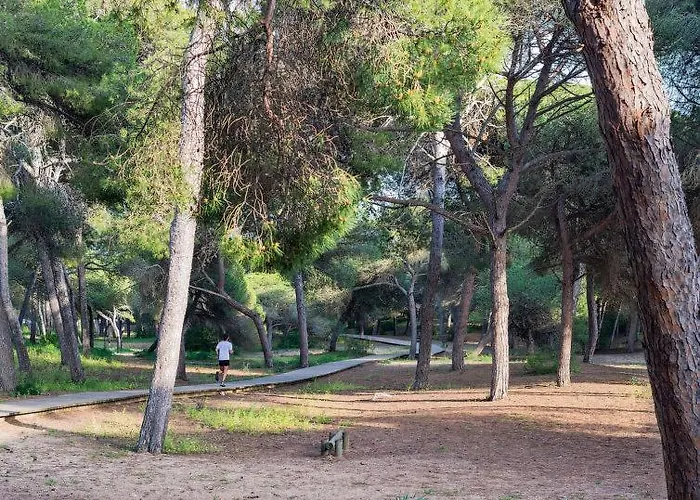 Apartment Almadraba